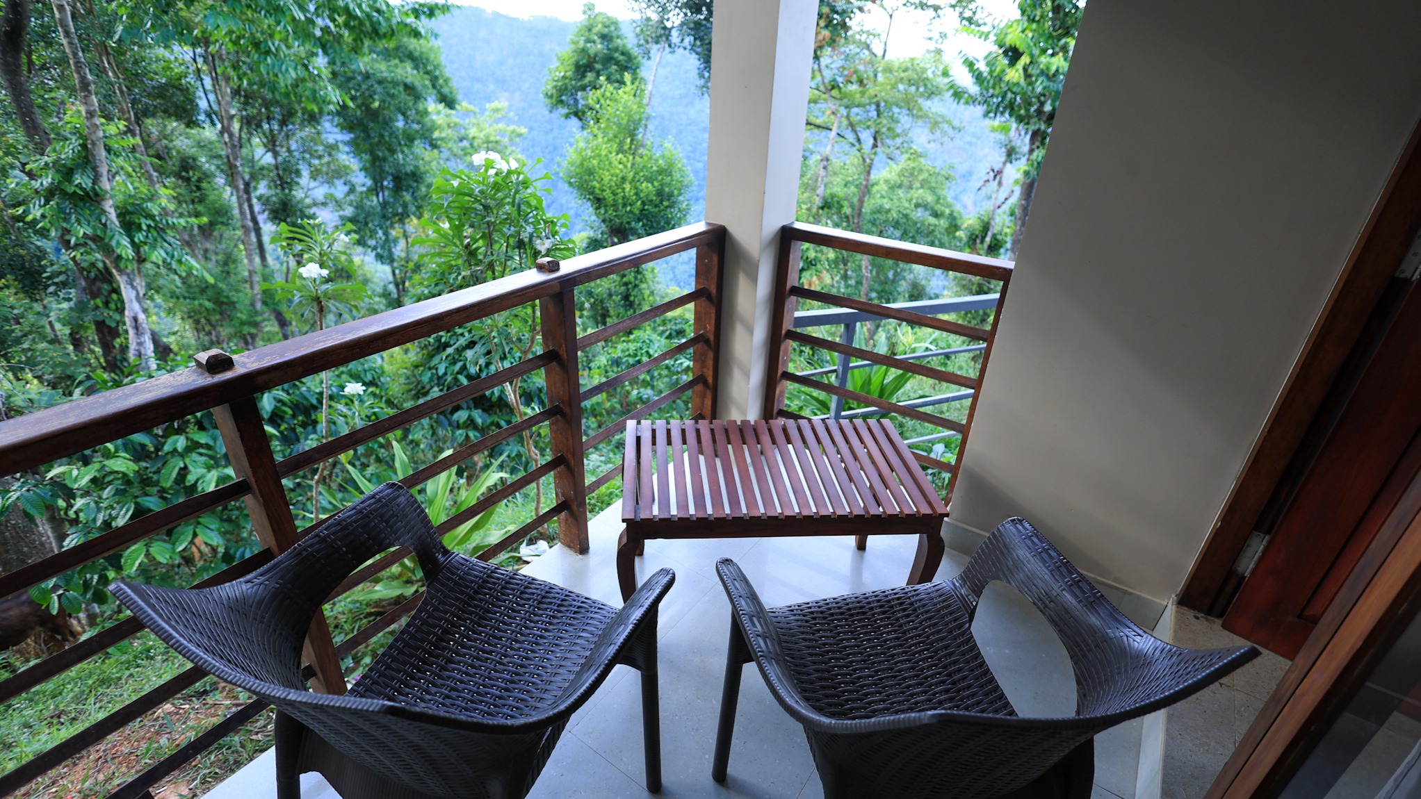 Cliff Villa - Forest View